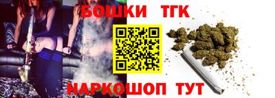 индика Дубна