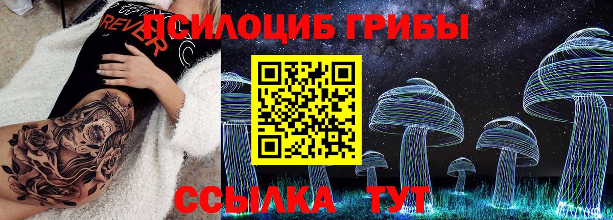 Верхняя Салда  Галлюциногенные грибы GOLDEN TEACHER  где продают наркотики  Вход с VPN 